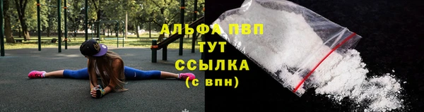 гидра Богородицк