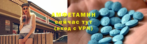 гидра Богородицк