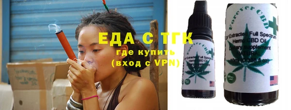 гидра Богородицк