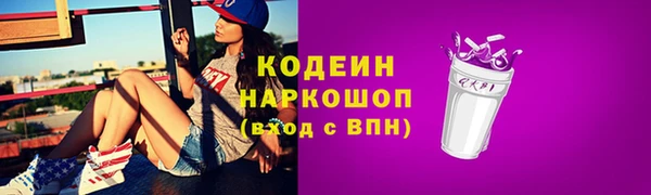 гидра Богородицк