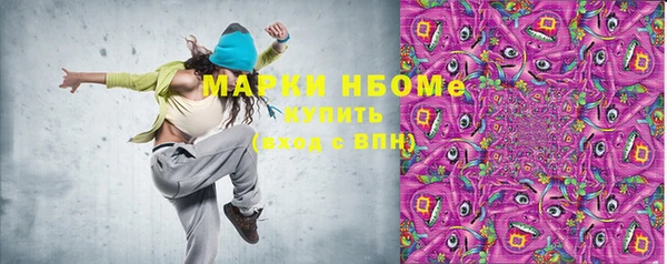 гидра Богородицк
