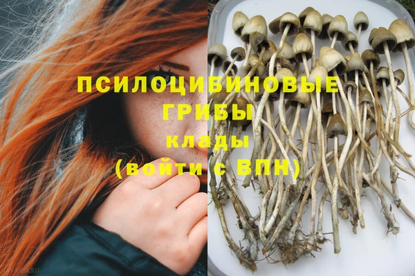 гидра Богородицк