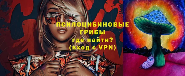 гидра Богородицк