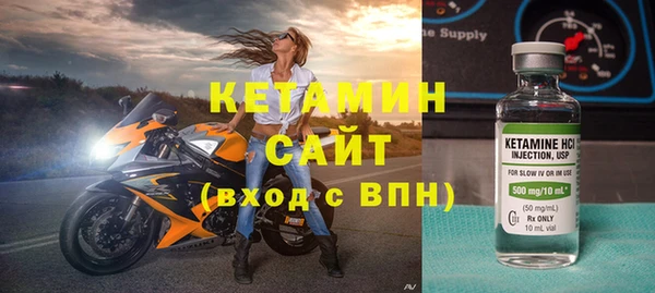 гидра Богородицк