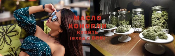гидра Богородицк